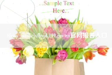 平邑xfhyjd.119.gov cn官网报名入口