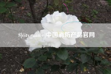 平邑中国消防产品官网