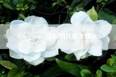 平邑中国的几块金牌2021