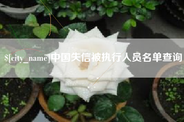 平邑中国失信被执行人员名单查询