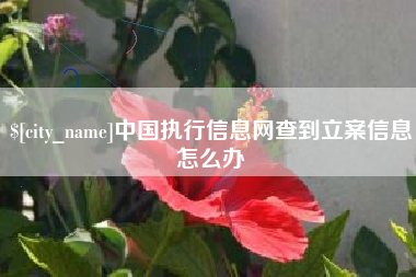平邑中国执行信息网查到立案信息怎么办