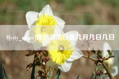 平邑我国消防日是几月几日几日