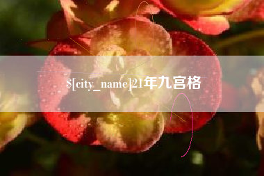 平邑21年九宫格