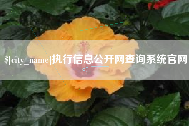 平邑执行信息公开网查询系统官网