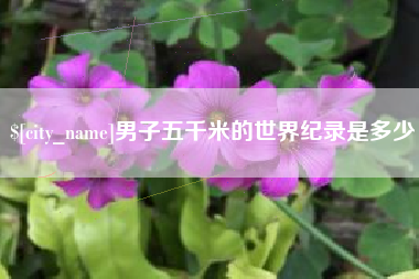 平邑男子五千米的世界纪录是多少