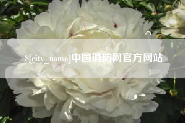 平邑中国消防网官方网站