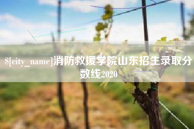 平邑消防救援学院山东招生录取分数线2020