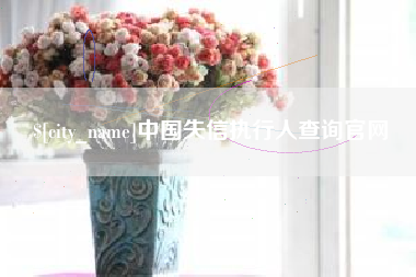 平邑中国失信执行人查询官网