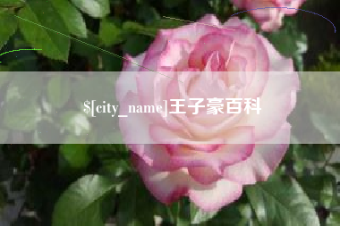 平邑王子豪百科