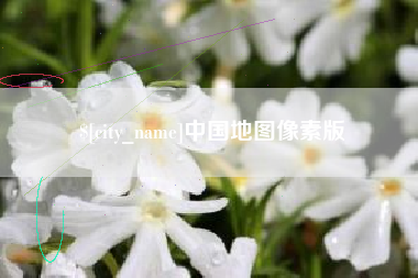 平邑中国地图像素版