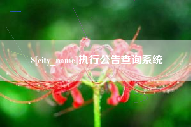 平邑执行公告查询系统