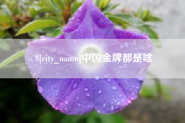 平邑中国金牌都是啥