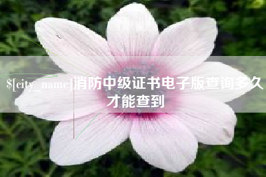 平邑消防中级证书电子版查询多久才能查到
