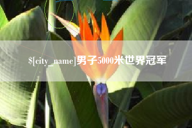 平邑男子5000米世界冠军
