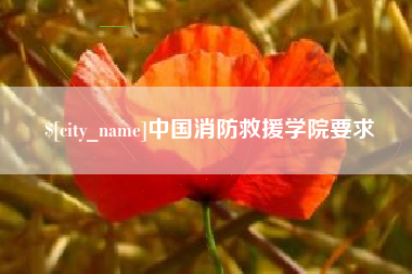 平邑中国消防救援学院要求