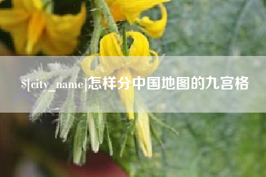 平邑怎样分中国地图的九宫格