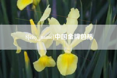 平邑中国金牌包括