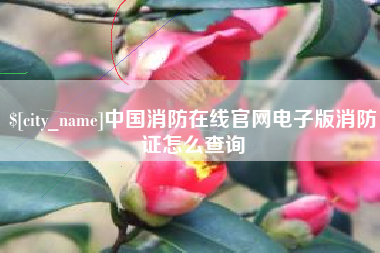 平邑中国消防在线官网电子版消防证怎么查询