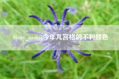 平邑今年九宫格的不利颜色