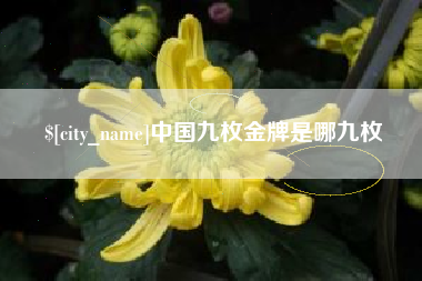 平邑中国九枚金牌是哪九枚