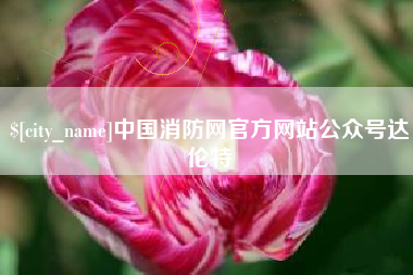 平邑中国消防网官方网站公众号达伦特