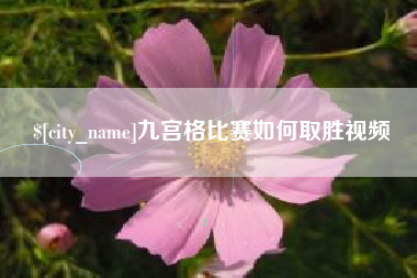 平邑九宫格比赛如何取胜视频