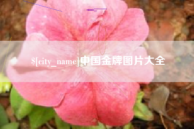 平邑中国金牌图片大全