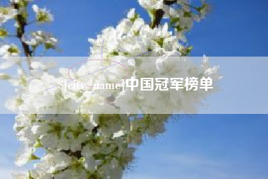 平邑中国冠军榜单
