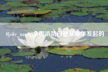平邑全国消防日是从哪年发起的