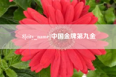 平邑中国金牌第九金