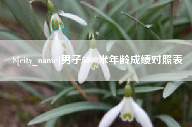 平邑男子5000米年龄成绩对照表