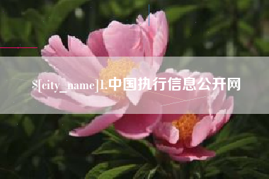 平邑1.中国执行信息公开网