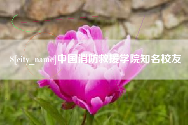 平邑中国消防救援学院知名校友