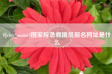 平邑国家应急救援员报名网址是什么