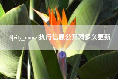 平邑执行信息公开网多久更新