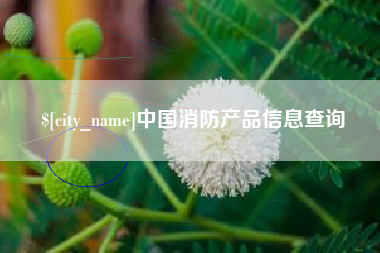 平邑中国消防产品信息查询