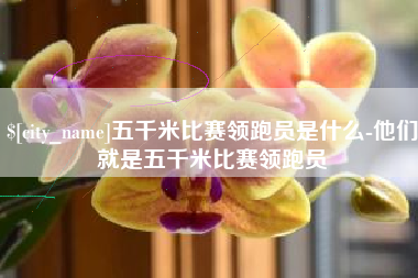 平邑五千米比赛领跑员是什么-他们就是五千米比赛领跑员