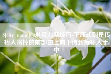 平邑60米接力赛技巧-下压式则是传棒人将棒的前部由上向下传到接棒人手中