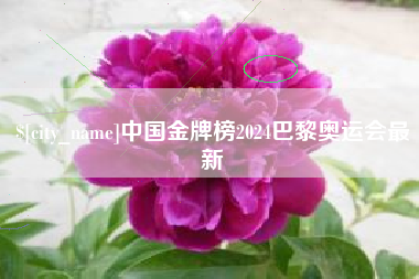平邑中国金牌榜2024巴黎奥运会最新