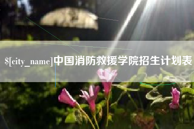平邑中国消防救援学院招生计划表