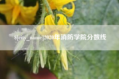 平邑2020年消防学院分数线