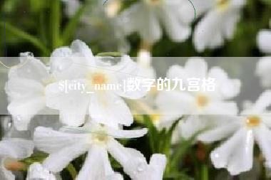 平邑数字的九宫格