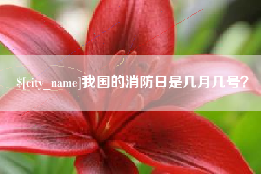 平邑我国的消防日是几月几号？