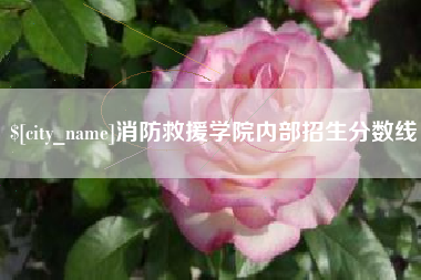 平邑消防救援学院内部招生分数线