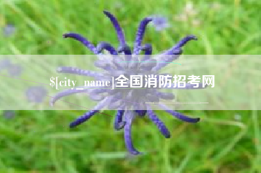平邑全国消防招考网