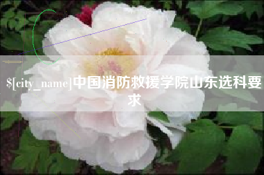 平邑中国消防救援学院山东选科要求
