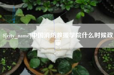 平邑中国消防救援学院什么时候政审