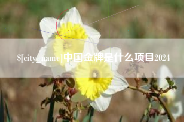 平邑中国金牌是什么项目2024