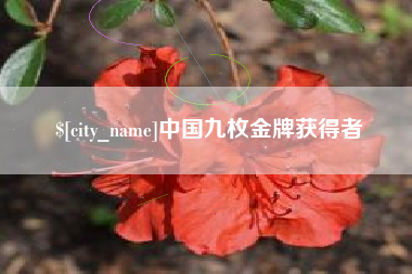 平邑中国九枚金牌获得者