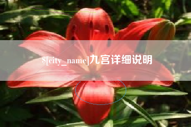 平邑九宫详细说明